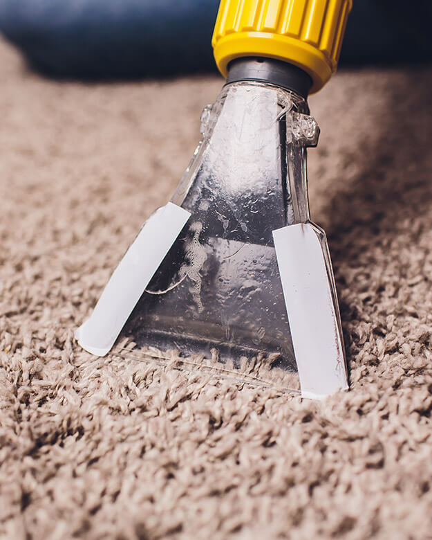 carpet cleaning